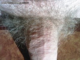 My big hairy dick for you...