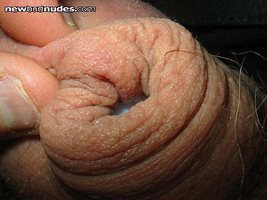 docking opportunity in oz - my foreskin will accomodate your erect cock - t...