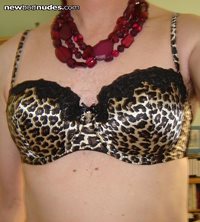 Cat lingerie. Like my new bra?
