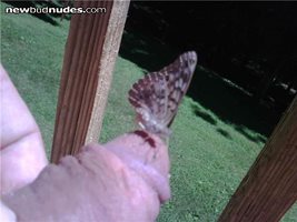 sunning with a butterfly