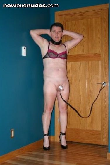 Forced to look into the camera while leashed in chastity.