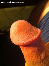 my nice cock, looking for guys in MA to feed me their cum!