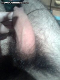 My young big hairy dick !