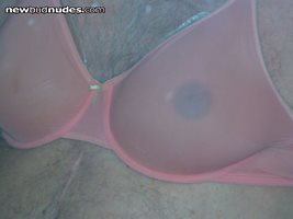 sheer pink bra