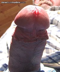 HE`S LOOKING AT YOU!!  AND HE`S DRIPPING PRE-CUM!!
