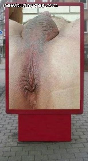 Waiting for its Master