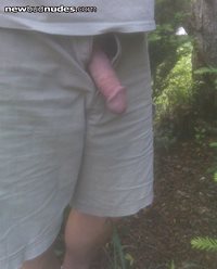 Exposing my cock on a warm summer day