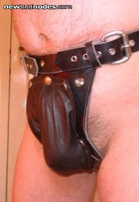 Bagged and strapped up cock and balls