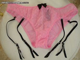 new sheer pink VS garter panties with black lace open back (front view)