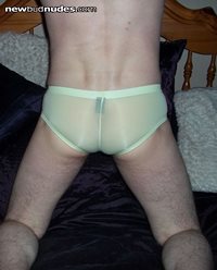 sheer see through sexy hot pants for sale will come clean or cum stained yo...
