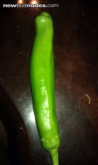 A little spice up my pussy. hot pepper dick