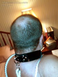 collared tied to ass hook