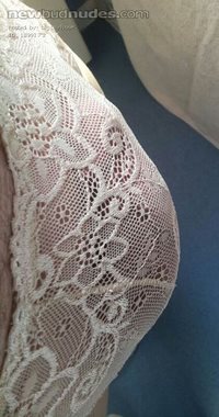 erect in lace panties x