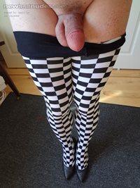 checker tights