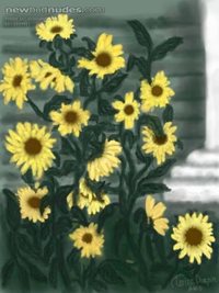 Wild sunflowers by my front porch. Painted freehand on my laptop with a tou...