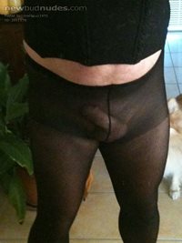 sexy black pantyhose who like what they see here???
