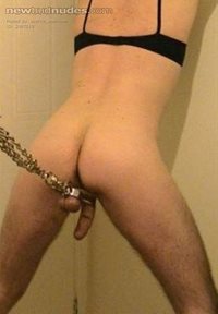 Chained by the balls. Anyone require a fuck slave?