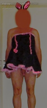 Dressed as a sissy bunny I want to be laughed out
