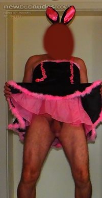 Need to show my tiny cock as a sissy bunny