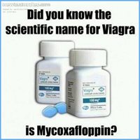 Mycoxafloppin