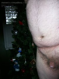 Standing by the Christmas Tree. Santa forgot my subbie