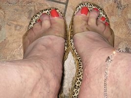 leopard heels
