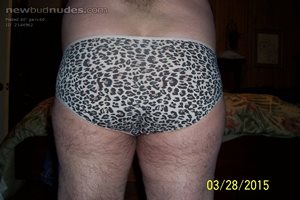 backside of leopard and blah