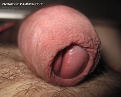 Slip your tongue inside my foreskin?