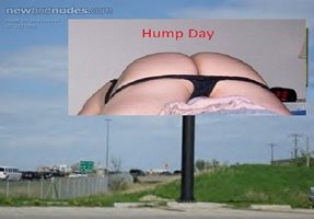 ATTENTION: it is  HUMP DAY!