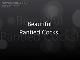 Beautiful Pantied Cocks!!!