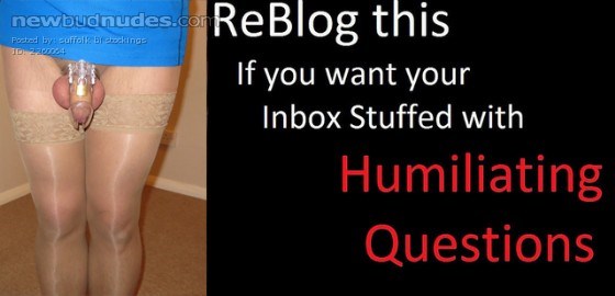 pretty pink chastity cage