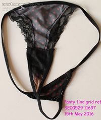 Lost panty gusset looking for its pussy